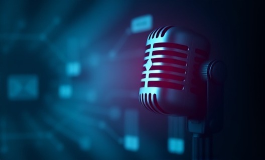 Voice AI: Automatic service & appointment booking